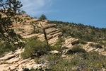 photo thumbnail #11