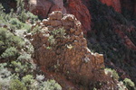 photo thumbnail #14