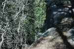 photo thumbnail #7