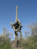 photo thumbnail #5