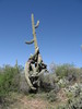 photo thumbnail #6