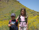 photo thumbnail #12