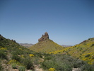 photo thumbnail #13