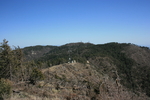 photo thumbnail #10