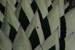 photo thumbnail #12