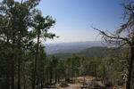 photo thumbnail #13