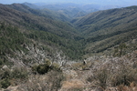 photo thumbnail #14
