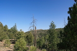 photo thumbnail #15