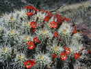 photo thumbnail #6