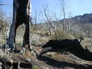 photo thumbnail #9