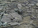 photo thumbnail #10