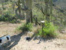 photo thumbnail #2