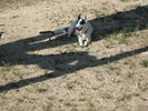 photo thumbnail #3