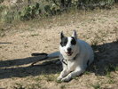 photo thumbnail #4