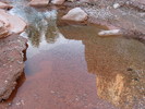 photo thumbnail #12