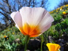 photo thumbnail #15