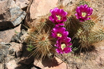 photo thumbnail #5