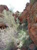 photo thumbnail #14