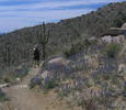 photo thumbnail #4