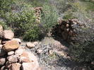 photo thumbnail #12