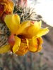 photo thumbnail #12