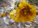 photo thumbnail #13