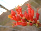 photo thumbnail #14