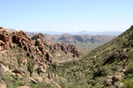 recent photo