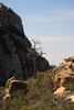 photo thumbnail #6