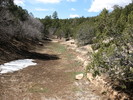 photo thumbnail #2