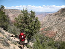 photo thumbnail #7