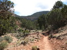 photo thumbnail #9