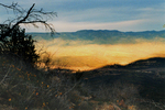photo thumbnail #13