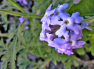 photo thumbnail #14