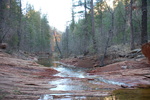 photo thumbnail #2