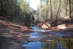 photo thumbnail #7