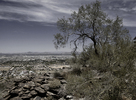 photo thumbnail #8