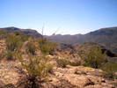 photo thumbnail #7