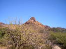 photo thumbnail #10