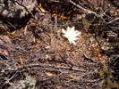photo thumbnail #15