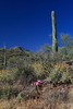 photo thumbnail #7