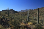 photo thumbnail #8