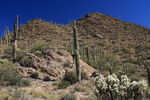 photo thumbnail #12