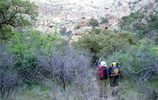 photo thumbnail #8