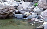 photo thumbnail #9