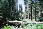 photo thumbnail #6