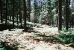 photo thumbnail #9