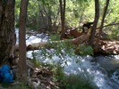 photo thumbnail #4