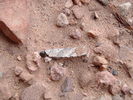 photo thumbnail #13