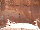 photo thumbnail #7